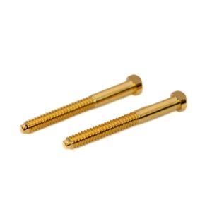 Ligature Screw